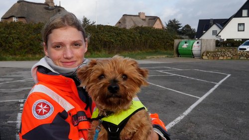 Lebensretter mit Fellnase - Rettungshundestaffel Sylt (Teil 2)