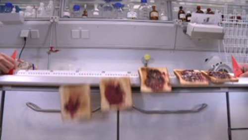 Uni Münster TV: Das Toast-Experiment