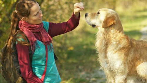 Riepes Hundetalk: Hundeerziehung