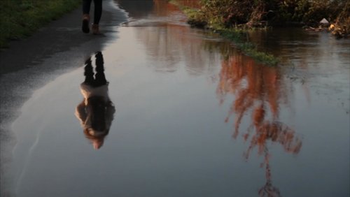 com.POTT: Die Ruhe der Natur