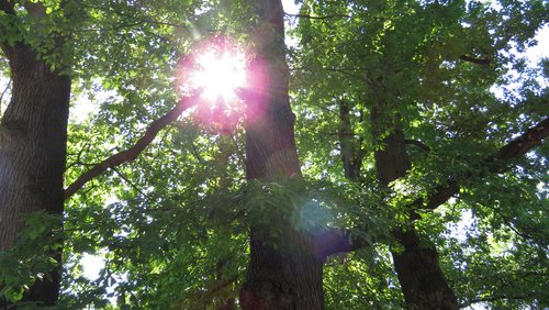 Aneesha Mueller, psychologische Therapeutin in Bergisch Gladbach - Spirituelle Begleitung