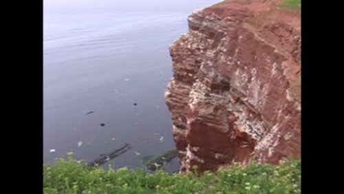 Roter Felsen im Meer