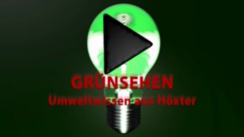 Grünsehen: Urinal ohne Wasser - wie funktioniert das?