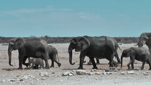 Südliches Afrika - Teil 2