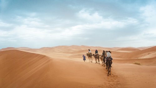 Von allen Seiten: "Der Alchimist" - Roman von Paulo Coelho