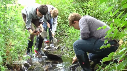 Schule macht TV: Kurzfilme zum Thema Wasser