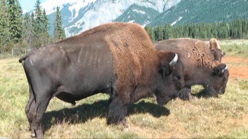 seniorama: Reise durch die Rocky Mountains, Jahreszeiten im Botanischen Garten Münster