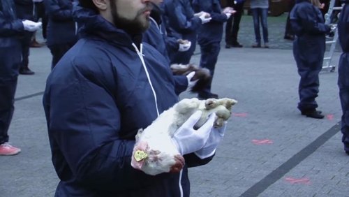 Augen auf! - Demo mit Tierkörpern