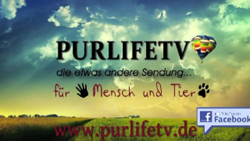 PURLIFETV: Öcher fiere met et Schängche Fastelovvend