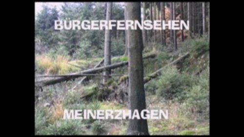 Wald und Natur erleben und begreifen