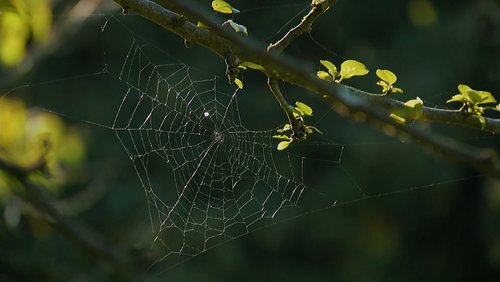 Parks in Dortmund: UmweltKulturPark - Permakultur in Dortmund-Barop