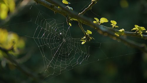 Parks in Dortmund: UmweltKulturPark - Permakultur in Dortmund-Barop