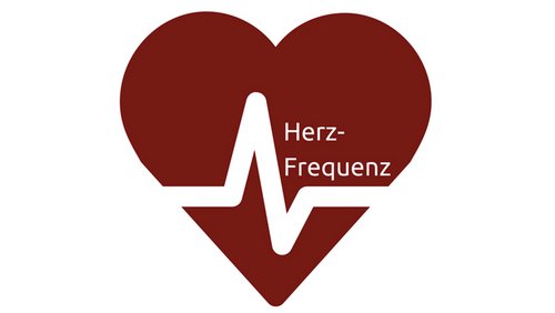 Herzfrequenz: Wie finde ich den perfekten Sexpartner?