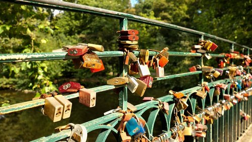 Mark geht wandern: Fotowalk im Rombergpark Dortmund