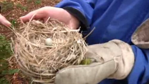 Ökoplosiv: Apfelernte, Vogelnistkästen, Basteln im Herbst