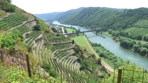 Calmont-Klettersteig bei Bremm, Rheinland-Pfalz