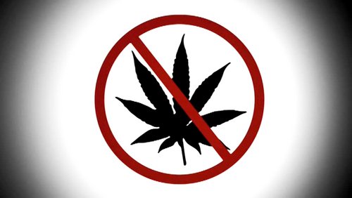 Good Vibes Radio: Legalize Cannabis – lieber nicht!