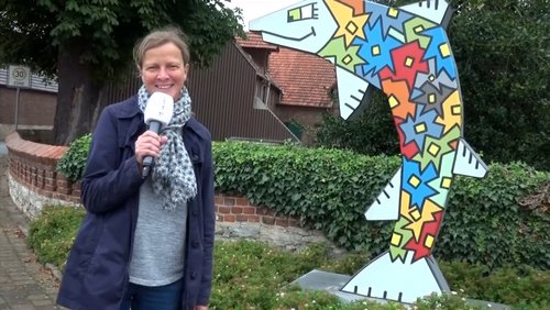 SÄLZER.TV: Unsere Dörfer - Verne, Wildunfälle im November