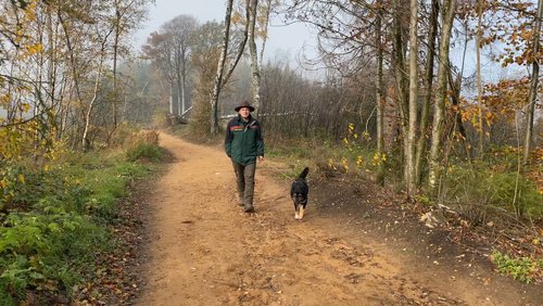 Die Ranger Story: Freies Waldbetretungsrecht