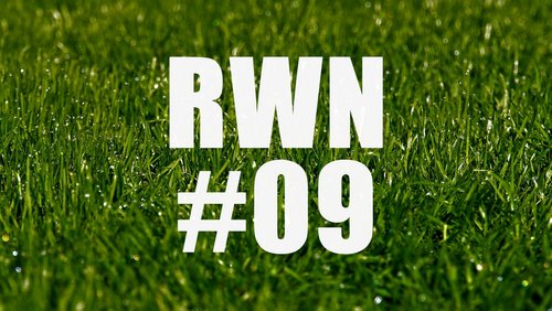 Rot-Weiße Nachspielzeit: Prof. Harald Lange - Sportwissenschaftler an der Uni Würzburg