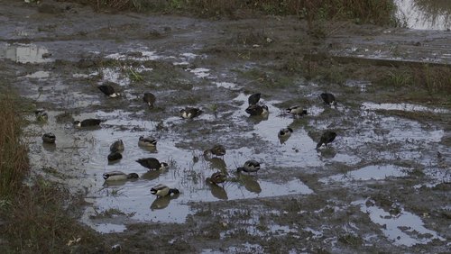 Naherholungsgebiet "Stadtweiher" in Erkrath-Hochdahl