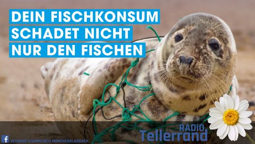 Tellerrand: Fischkonsum - Sollte man heute noch Fisch essen?