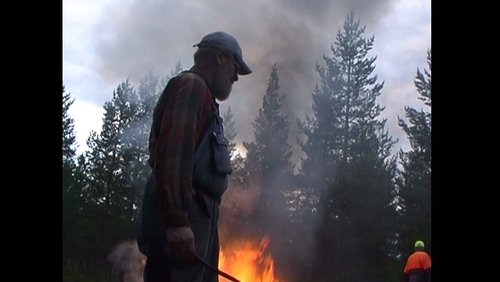 An der Kvarn am Järvträsket - Reisebericht aus Schweden von Renate Neuber