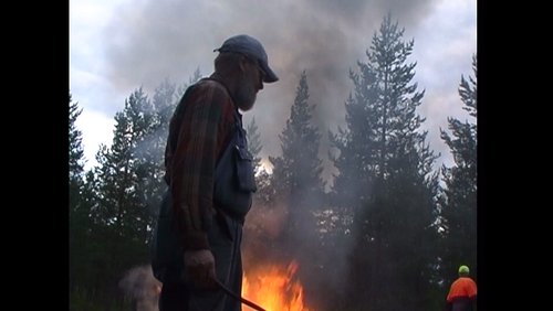 An der Kvarn am Järvträsket - Reisebericht aus Schweden von Renate Neuber