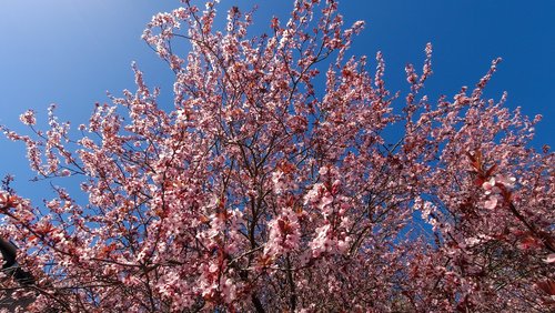 WanderBlog: Wanderung durch die "EifelSchleifen" in Nettersheim