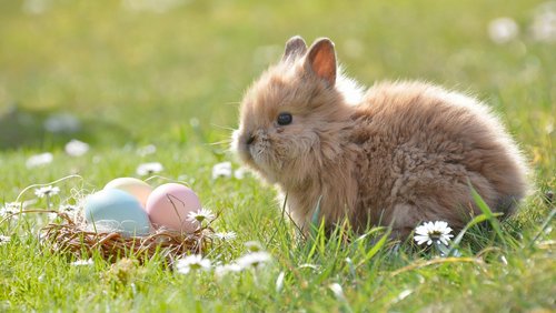 Im Fokus: Ostern - Das Osterfest und seine Geschichte