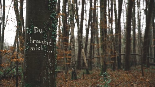 lilagrün: Räumung im Osterholz-Wald in Wuppertal