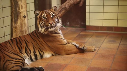 YOUNGSTERS: Zoo Dortmund