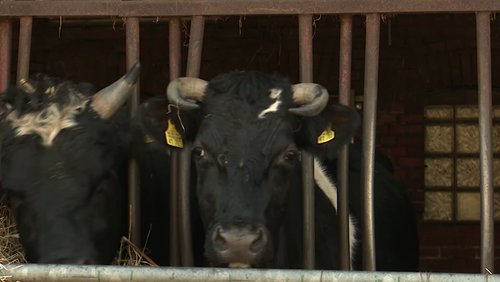 diskutier/bar: Biologische Ernährung