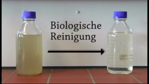 Grünsehen: Biotechnologie