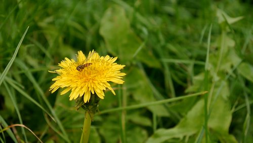 Bilder & Lieder: "The Secret Of Nature Is Patience"