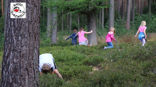 Radio Kurzwelle: Der Senner Wald, Stadtranderholung 2021 in Bielefeld